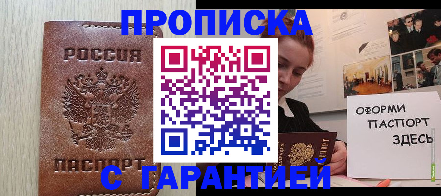 прописка штамп в Тереке